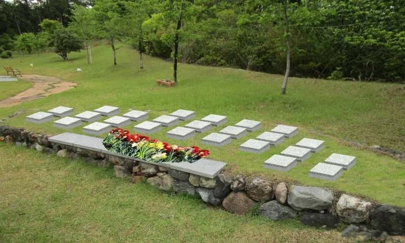 樹木葬墓地「桜葬」
