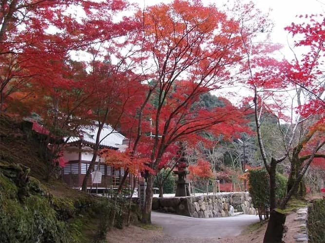 神峯山寺 開成院霊園