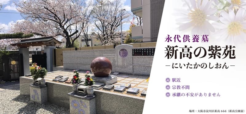 新高の紫苑