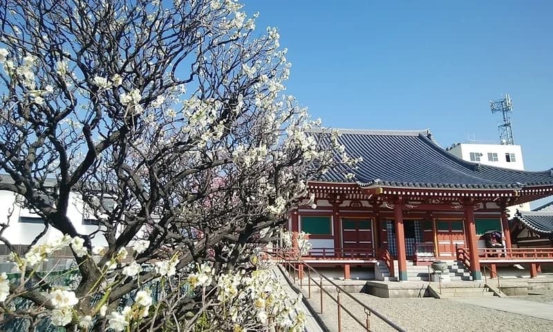 富光寺墓地