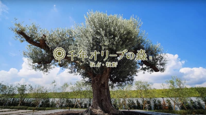 ハピネスパーク 千年オリーブの森 枚方・牧野