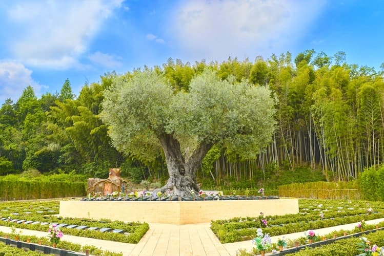 樹木葬専門霊園 ハピネスパーク 千年オリーブの森（京阪奈墓地公園内）