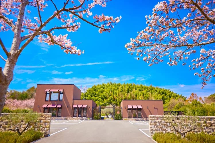 樹木葬専門霊園 ハピネスパーク 千年オリーブの森（京阪奈墓地公園内）