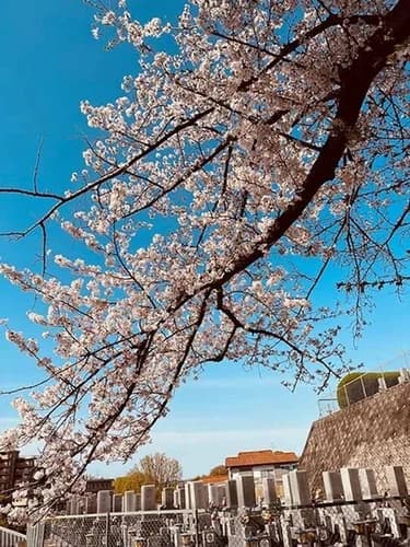 本厳寺霊苑