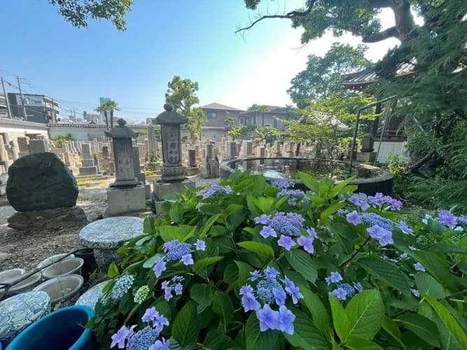 大寶寺 のうこつぼ
