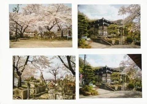 本照寺 光要山墓地