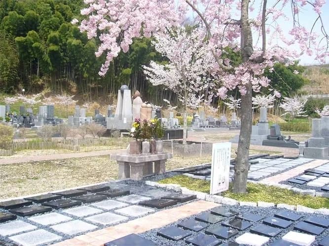 樹木葬区画