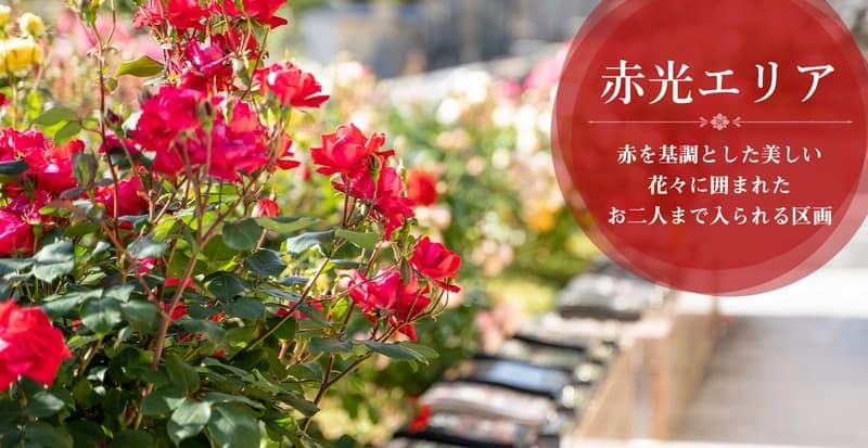 淨國寺墓地