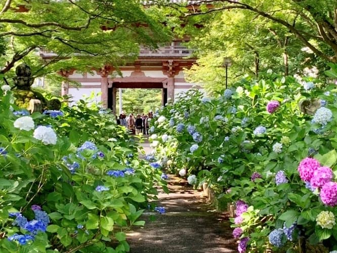 久安寺霊園