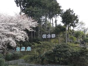 信貴霊苑 (一代仏)