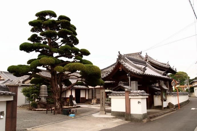 真如寺 (一時預かり（遺骨の一部）)