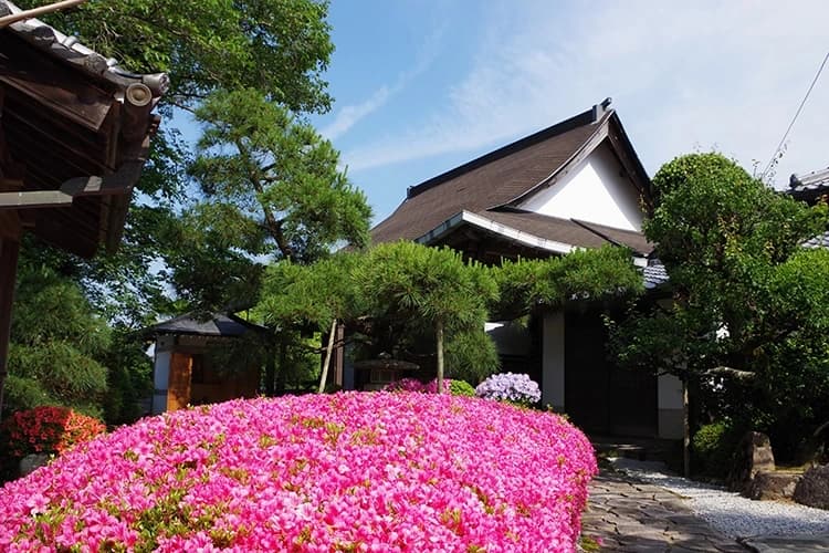 satsuki廟堂
