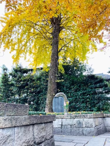 建仁寺塔頭「両足院」