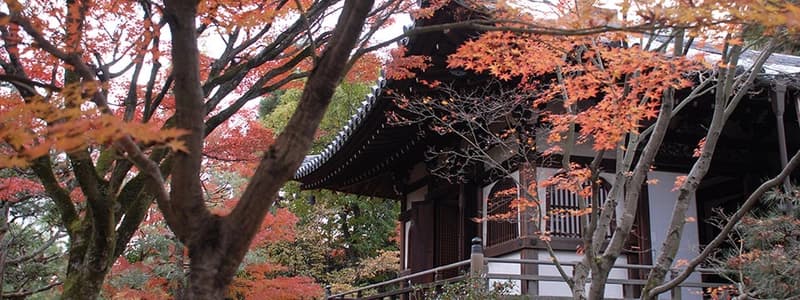 大徳寺塔頭「正受院」