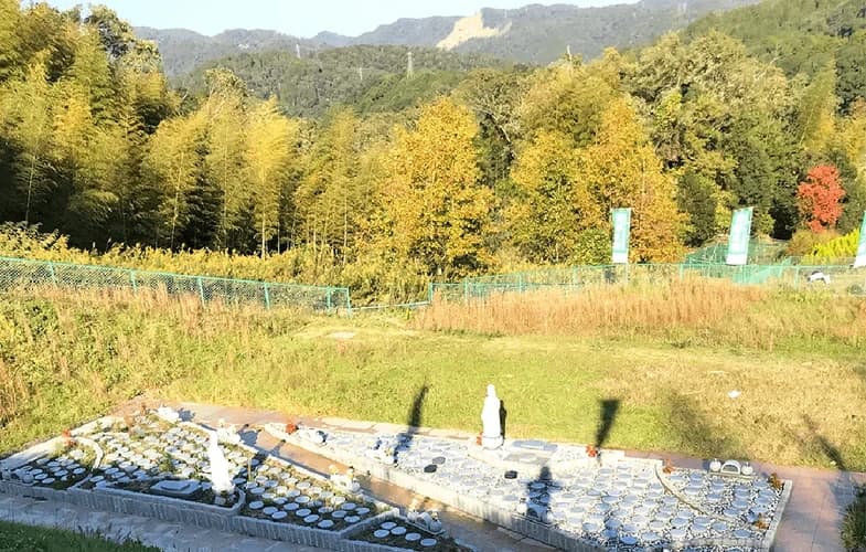 樹木葬墓地