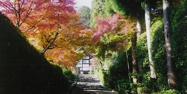正傅寺墓苑（正伝寺墓苑）