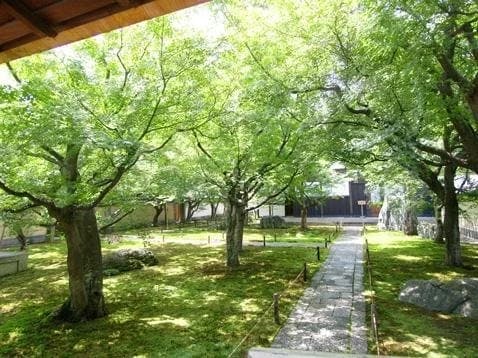 大本山大徳寺塔頭 黄梅院