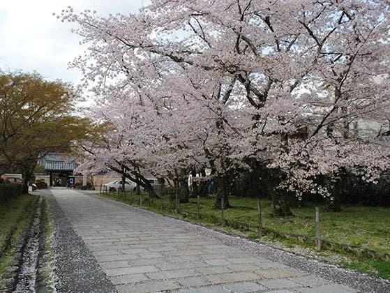 神光院