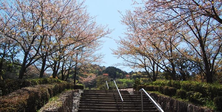 宇治市営 天ヶ瀬墓地公園