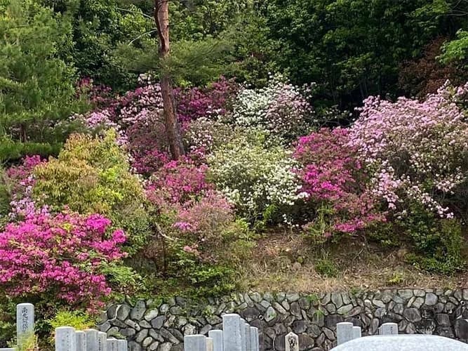 大仙寺
