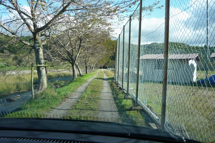 中野霊園