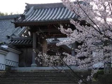 来迎寺山墓地