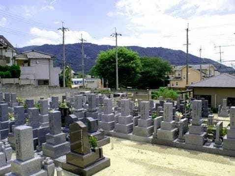 サンライズドリーム萩