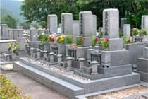 新善光寺 永代供養 樹木葬 花の園