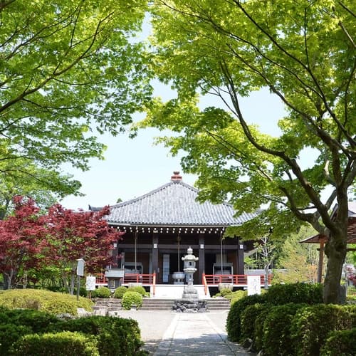 櫟野寺 樹木葬 櫟苑