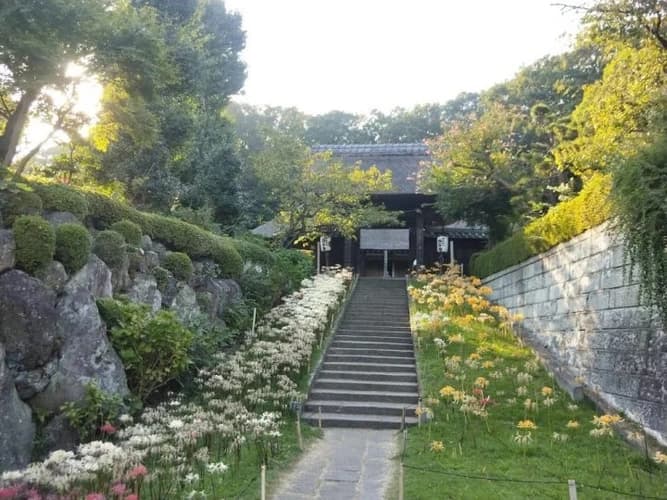 西方寺 のうこつぼ
