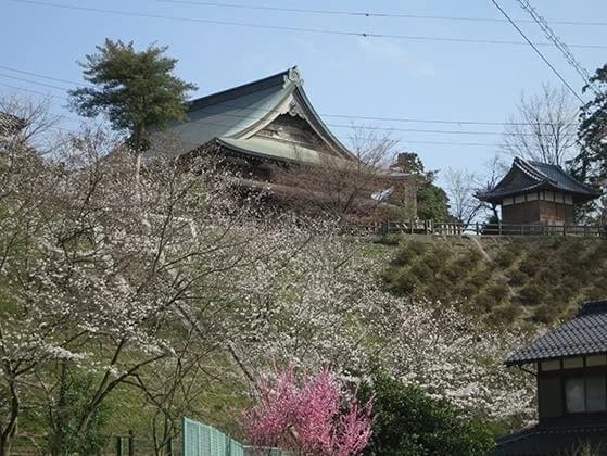 天寧寺墓苑