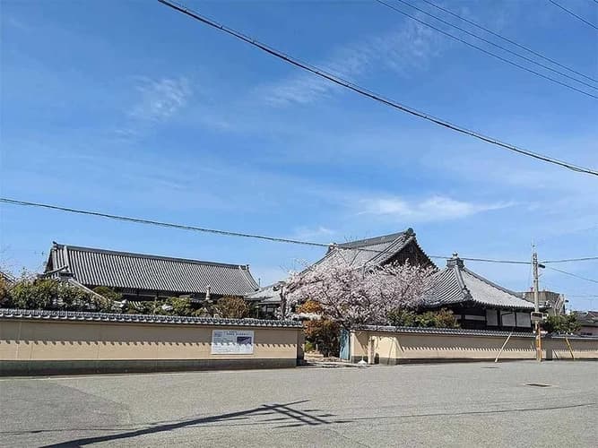 和歌山市城下町の「寿光苑」