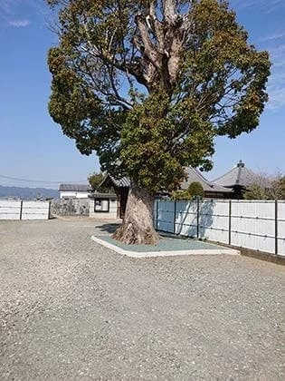 興山寺霊園 永代供養墓
