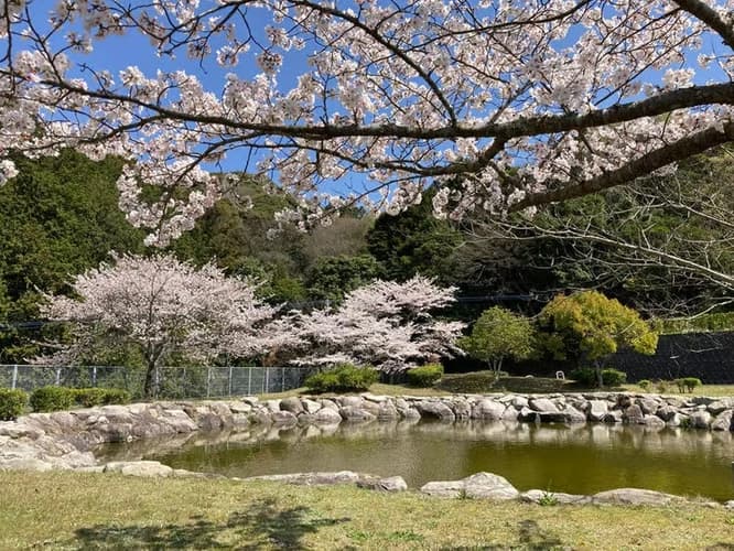 百合ヶ丘霊園