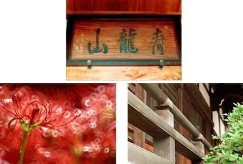 青龍山 長圓寺（長円寺）