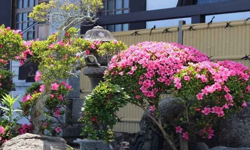 宝積寺 永代供養塔