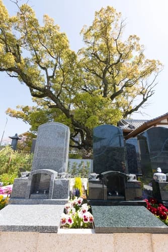 國相寺墓苑樹木葬 TREE GARDEN