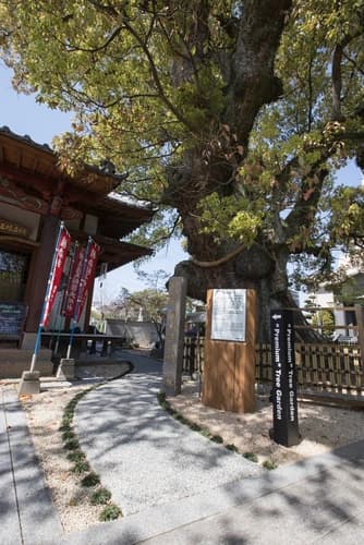 國相寺墓苑樹木葬 TREE GARDEN
