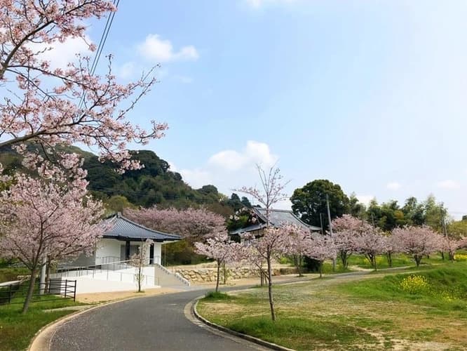 高城寺墓苑 樹木葬