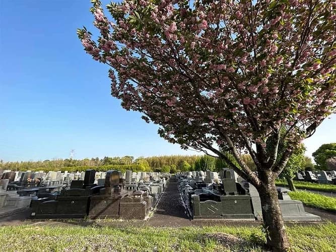 熊本市営 桃尾墓園