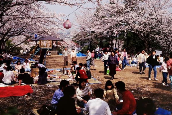 大分市営 上野墓地