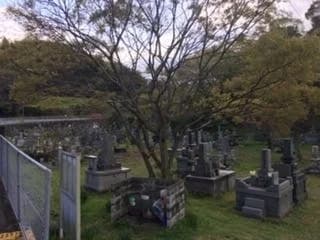 大分市営 駄ノ原墓地