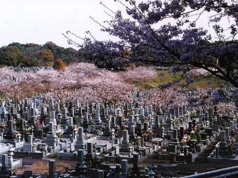 宮崎市営 宮崎みたま園