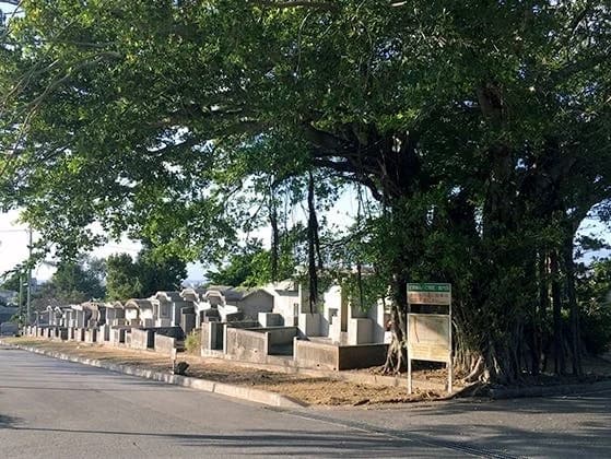 那覇市営 識名霊園