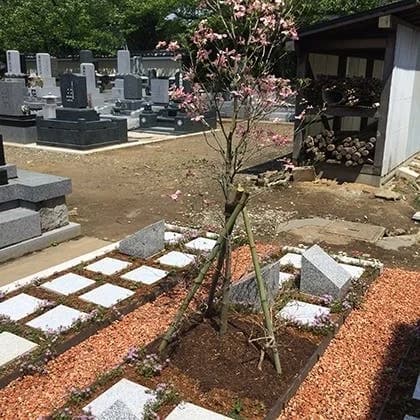 上越の樹木葬墓苑 はなみずき
