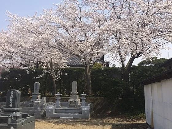 上越の樹木葬墓苑 はなみずき
