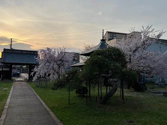 宝光寺 のうこつぼ