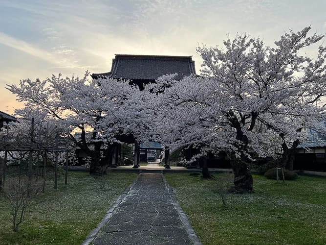 宝光寺 のうこつぼ