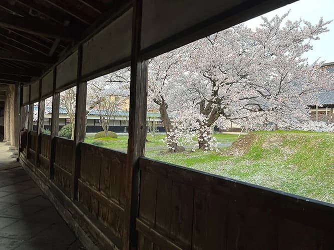 宝光寺 のうこつぼ