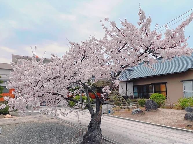 宝泉寺 のうこつぼ
